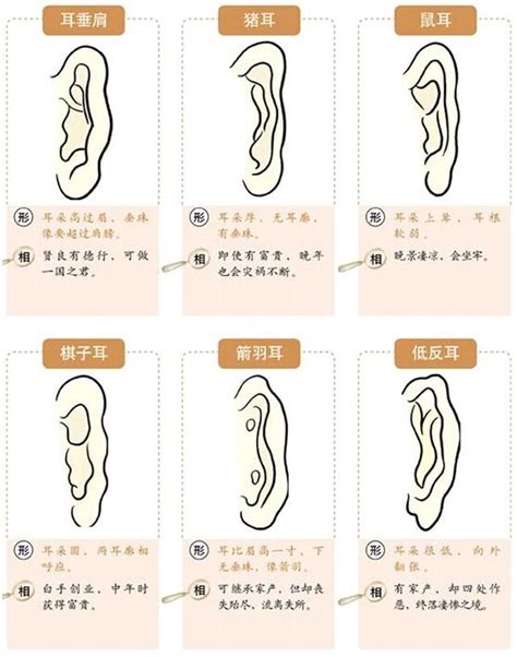 中國五行 色彩 耳朵大面相